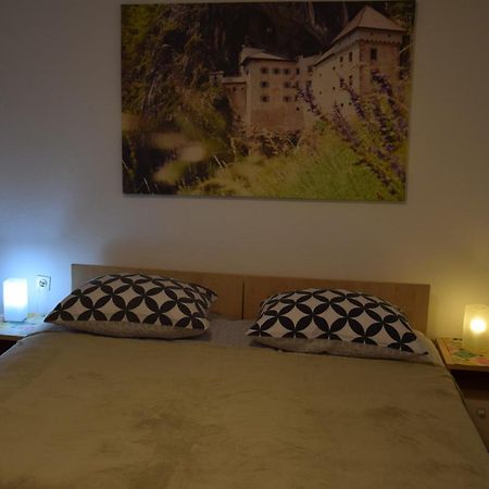 Rooms Ribnikar Postojna Εξωτερικό φωτογραφία