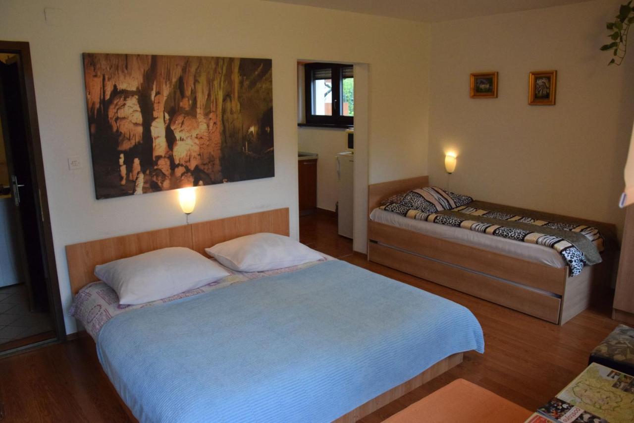 Rooms Ribnikar Postojna Εξωτερικό φωτογραφία