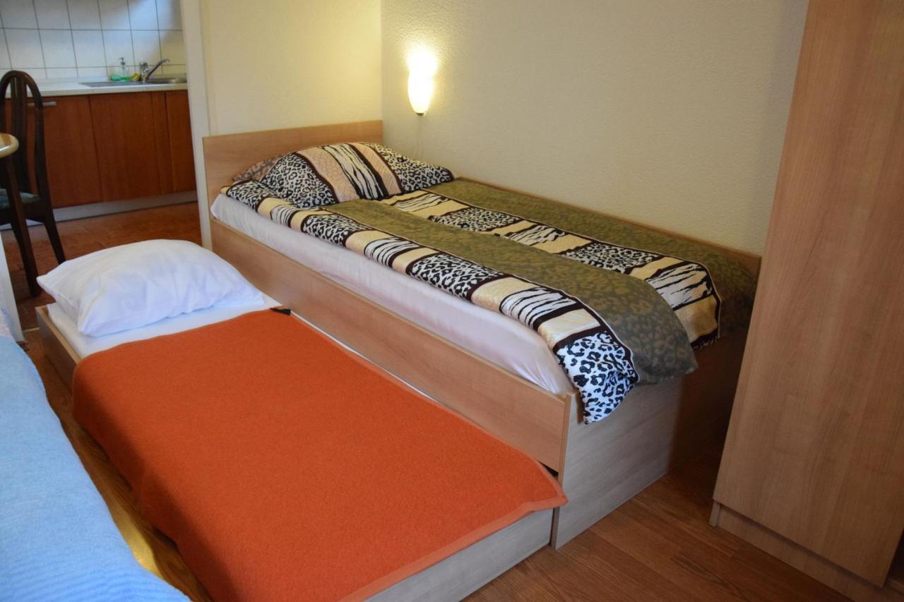 Rooms Ribnikar Postojna Εξωτερικό φωτογραφία